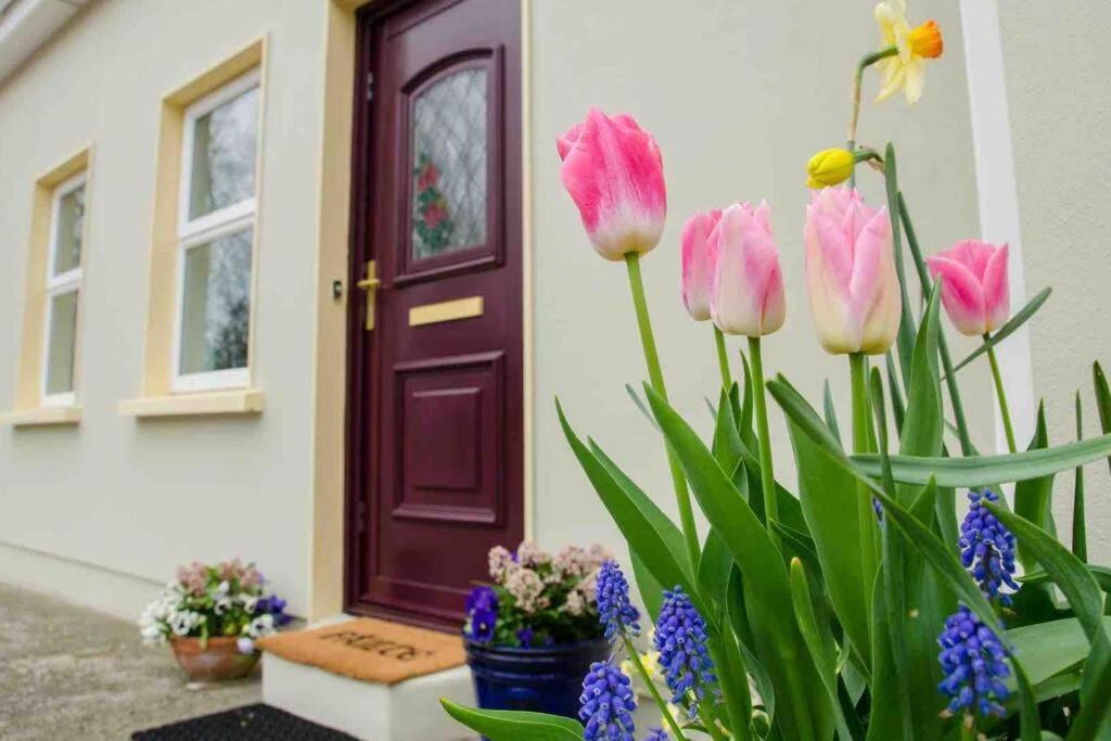 Kingfisher Riverside Retreat Kenmare Exterior photo
